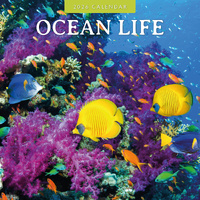 2026 Calendar Ocean Life 16-Month Square Wall, Red Robin RR261296