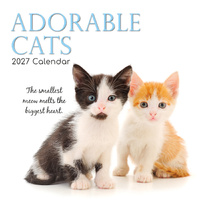 2027 Calendar Adorable Cats Square Wall, Gifted Stationery GSC26984