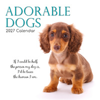 2027 Calendar Adorable Dogs Square Wall, Gifted Stationery GSC26985