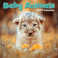 2027 Calendar Baby Animals Square Wall, Gifted Stationery GSC26986