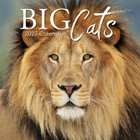 2027 Calendar Big Cats Square Wall, Gifted Stationery GSC26988