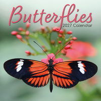2027 Calendar Butterflies Square Wall, Gifted Stationery GSC26990