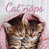 2027 Calendar Cat Naps Square Wall, Gifted Stationery GSC26991