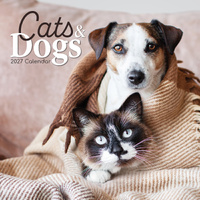 2027 Calendar Cats & Dogs Square Wall, Gifted Stationery GSC26993