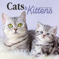 2027 Calendar Cats & Kittens Square Wall, Gifted Stationery GSC26994