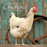 2027 Calendar Chickens Square Wall, Gifted Stationery GSC26995