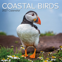 2027 Calendar Coastal Birds Square Wall, Gifted Stationery GSC26996