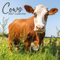 2027 Calendar Cows Square Wall, Gifted Stationery GSC26998
