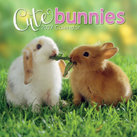 2027 Calendar Cute Bunnies Square Wall, Gifted Stationery GSC26999