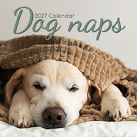 2027 Calendar Dog Naps Square Wall, Gifted Stationery GSC27002