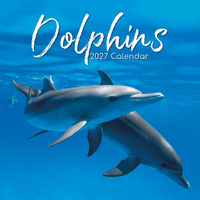 2027 Calendar Dolphins Square Wall, Gifted Stationery GSC27004