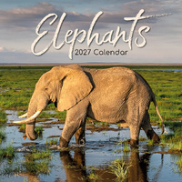 2027 Calendar Elephants Square Wall, Gifted Stationery GSC27006