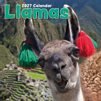 2027 Calendar Llamas Square Wall, Gifted Stationery GSC27014