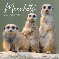 2027 Calendar Meerkats Square Wall, Gifted Stationery GSC27015