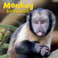 2027 Calendar Monkey Business Square Wall, Gifted Stationery GSC27016