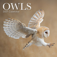 2027 Calendar Owls Square Wall, Gifted Stationery GSC27017