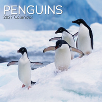 2027 Calendar Penguins Square Wall, Gifted Stationery GSC27018