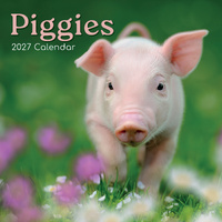 2027 Calendar Piggies Square Wall, Gifted Stationery GSC27019