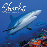 2027 Calendar Sharks Square Wall, Gifted Stationery GSC27021