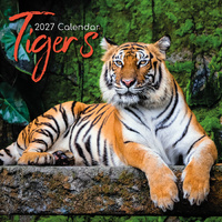 2027 Calendar Tigers Square Wall, Gifted Stationery GSC27023