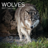 2027 Calendar Wolves Square Wall, Gifted Stationery GSC27024