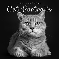 2027 Calendar Moments Cat Portraits Square Wall, Gifted Stationery GSC27025
