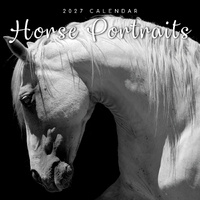 2027 Calendar Moments Horse Portraits Square Wall, Gifted Stationery GSC27027