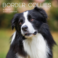 2027 Calendar Paw Prints Border Collies Square Wall, Gifted Stationery GSC27034