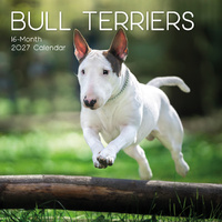 2027 Calendar Paw Prints Bull Terriers Square Wall, Gifted Stationery GSC27037