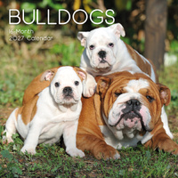 2027 Calendar Paw Prints Bulldogs Square Wall, Gifted Stationery GSC27038