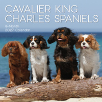 2027 Calendar Paw Prints Cavalier King Charles Spaniels Square Wall, Gifted Stationery GSC27039