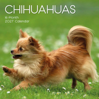 2027 Calendar Paw Prints Chihuahuas Square Wall, Gifted Stationery GSC27041