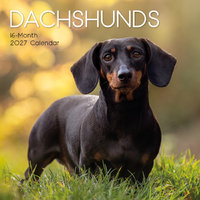 2027 Calendar Paw Prints Dachshunds Square Wall, Gifted Stationery GSC27044