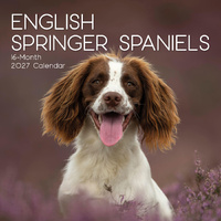2027 Calendar Paw Prints English Springer Spaniels Square Wall, Gifted Stationery GSC27047