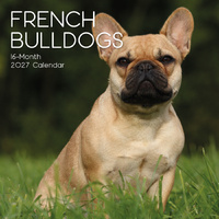 2027 Calendar Paw Prints French Bulldogs Square Wall, Gifted Stationery GSC27048
