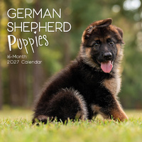 2027 Calendar Paw Prints German Shepherd Puppies Square Wall, Gifted Stationery GSC27049
