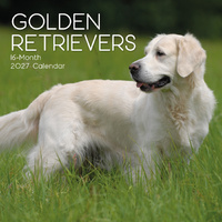 2027 Calendar Paw Prints Golden Retrievers Square Wall, Gifted Stationery GSC27052