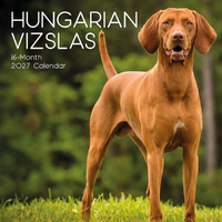 2027 Calendar Paw Prints Hungarian Vizslas Square Wall, Gifted Stationery GSC27053