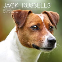 2027 Calendar Paw Prints Jack Russells Square Wall, Gifted Stationery GSC27054