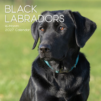 2027 Calendar Paw Prints Black Labradors Square Wall, Gifted Stationery GSC27057