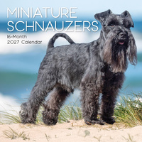 2027 Calendar Paw Prints Miniature Schnauzers Square Wall, Gifted Stationery GSC27059