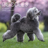 2027 Calendar Paw Prints Poodles Square Wall, Gifted Stationery GSC27061