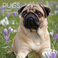 2027 Calendar Paw Prints Pugs Square Wall, Gifted Stationery GSC27063