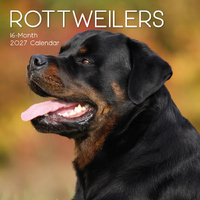 2027 Calendar Paw Prints Rottweilers Square Wall, Gifted Stationery GSC27065