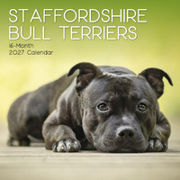 2027 Calendar Paw Prints Staffordshire Bull Terriers Square Wall, Gifted Stationery GSC27067