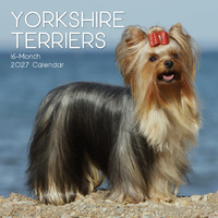 2027 Calendar Paw Prints Yorkshire Terriers Square Wall, Gifted Stationery GSC27070