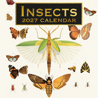 2027 Calendar Insects Square Wall, Gifted Stationery GSC27089