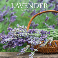 2027 Calendar Lavender Square Wall, Gifted Stationery GSC27120
