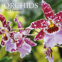 2027 Calendar Orchids Square Wall, Gifted Stationery GSC27121