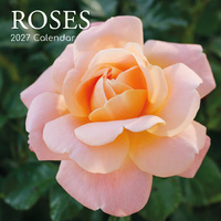 2027 Calendar Roses Square Wall, Gifted Stationery GSC27122